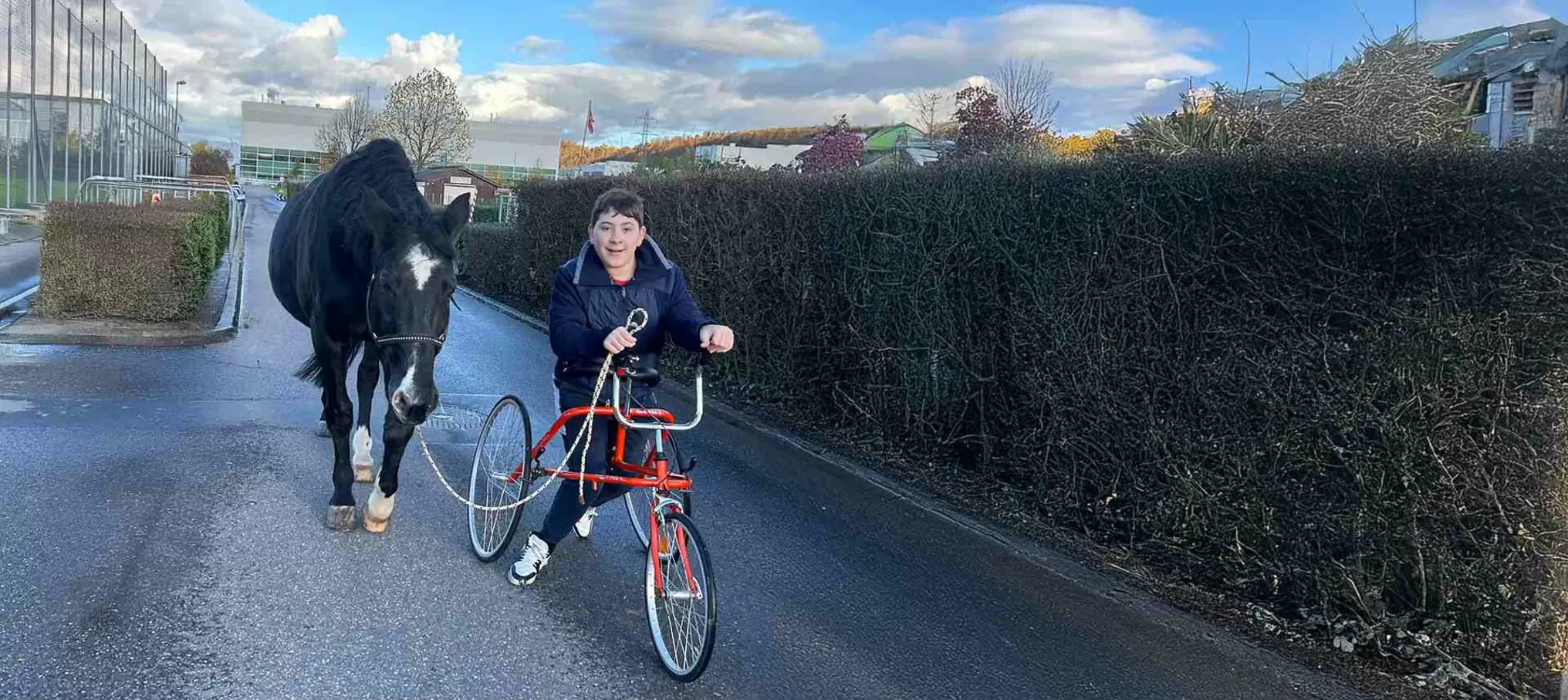 Ein Junge fährt auf einem roten Dreirad auf einer asphaltierten Straße und hält ein Seil in der Hand, um ein schwarzes Pferd zu führen, das neben ihm läuft. Büsche und Gebäude säumen die Straße unter einem teilweise bewölkten Himmel.
