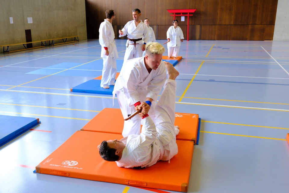 Mehrere Personen in weißen Karate-Uniformen üben in einer Turnhalle Kampfsportarten. Zwei Männer stehen auf Matten im Vordergrund, einer hält den anderen fest, während andere im Hintergrund zusehen oder trainieren.